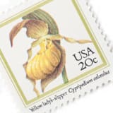 "20 Cent Yellow Lady's Slipper Orchid Postage Stamps // Set of 10 // UNUSED vintage stamps" - Postage Stamps in yellow by Flourish Fine Writing