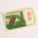 "6 Cent Botanical Congress, Douglas Fir Postage Stamps // Set of 10 // UNUSED Vintage Stamps" - Postage Stamps in green by Flourish Fine Writing