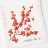 "Red Winterberry Forever Postage Stamps // Set of 10 // UNUSED Vintage Stamps" - Postage Stamps in red by Flourish Fine Writing