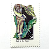 "Jack-In-The-Pulpit Postage Stamps | American Wildflower Series | Green Flower | Botanical | Vintage Unused USPS Postage 29c | Pack of 10" - Postage Stamps in green by Heritage Post House