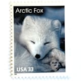 ""Arctic Fox" Postage Stamps | Arctic Animals Series | Unused USPS Postage 33c | Pack of 10" - Postage Stamps in white by Jennifer Kramer