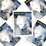 ""Arctic Fox" Postage Stamps | Arctic Animals Series | Unused USPS Postage 33c | Pack of 10" - Postage Stamps in white by Jennifer Kramer