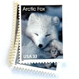 ""Arctic Fox" Postage Stamps | Arctic Animals Series | Unused USPS Postage 33c | Pack of 10" - Postage Stamps in white by Jennifer Kramer