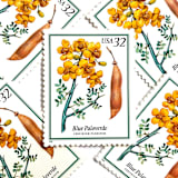 "Blue Paloverde Postage Stamps | Flowering Trees | Arizona State Tree | Southwestern | Yellow Flower | Wedding Stamps | Vintage Unused USPS Postage 32c | Pack of 10" - Postage Stamps in yellow by Heritage Post House