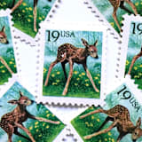 ""Fawn" Postage Stamps | Christmas Holidays | Flora and Fauna Series | Unused USPS Postage 19c | Pack of 20" - Postage Stamps in green by Heritage Post House