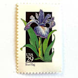 "Blue Flag Postage Stamps | American Wildflower Series | Purple Flower | Botanical | Vintage Unused USPS Postage 29c | Pack of 10" - Postage Stamps in purple by Heritage Post House