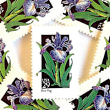 "Blue Flag Postage Stamps | American Wildflower Series | Purple Flower | Botanical | Vintage Unused USPS Postage 29c | Pack of 10" - Postage Stamps in purple by Heritage Post House