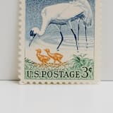 "Vintage Unused Stamps - Waterfowl Conservation, 6 cent - Set of 5" - Postage Stamps in multicolor by Tablo Post