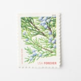 "10 Holiday Evergreen Forever Postage Stamps // Eastern Red Cedar // blue" - Postage Stamps in green by Flourish Fine Writing