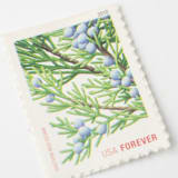 "10 Holiday Evergreen Forever Postage Stamps // Eastern Red Cedar // blue" - Postage Stamps in green by Flourish Fine Writing