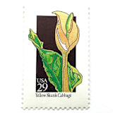 "Yellow Skunk Cabbage Postage Stamps | American Wildflower Series | Yellow Flower | Botanical | Vintage Unused USPS Postage 29c | Pack of 10" - Postage Stamps in yellow by Heritage Post House