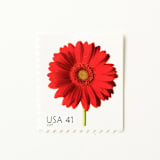 "41 Cent Red Gerbera Daisy Postage Stamps // Set of 10 // UNUSED Vintage Postage" - Postage Stamps in red by Flourish Fine Writing