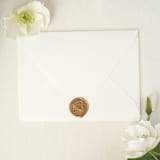 "Flared Peacock- Customizable Color- Set of 25 Hand-crafted Wax Seals" - Wax Seals in multicolor by Inkspiringletters