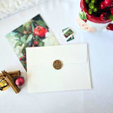 "Believe- Customizable Color- Set of 25 Hand-crafted Wax Seals" - Wax Seals in multicolor by Inkspiringletters