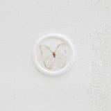 "Gold Butterfly Wax Seals | Set of 25" - Wax Seals in gold by Clove and Cedar Design