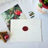 "Don't Open Until Christmas- Customizable Color- Set of 25  Hand-crafted Wax Seals" - Wax Seals in multicolor by Inkspiringletters