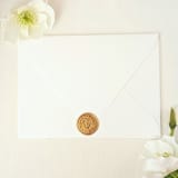 "King of the Jungle- Customizable Color- Set of 25 Hand-crafted Wax Seals" - Wax Seals in multicolor by Inkspiringletters