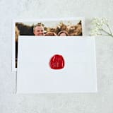 "Purrfect Gift- Customizable Color- Set of 25 Hand-crafted Wax Seals" - Wax Seals in multicolor by Inkspiringletters