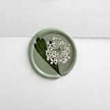 "Queen Anne's Lace in Celadon | Pack of 10" - Wax Seals in green by Caitlin Home