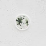 "Green Monstera Leaf Vellum Wax Seals | Set of 25" - Wax Seals in green by Clove and Cedar Design