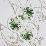 "Green Monstera Leaf Vellum Wax Seals | Set of 25" - Wax Seals in green by Clove and Cedar Design