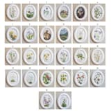 "Custom Art Wax Seal Frames // Set of 50" - Wax Seals in multicolorassorted-colors by Clover and Lamb