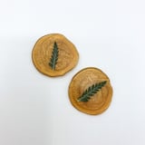 "Pressed Flower Gold Wax Seal Green Fern Set Of 6" - Wax Seals in gold by Christine OMalley