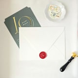 "Pinecone Branch- Customizable Color- Set of 25 Wax Seals" - Wax Seals in multicolor by Inkspiringletters