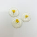 "Pressed Flower Ivory Wax Seal Yellow Flower Set Of 6" - Wax Seals in white by Christine OMalley