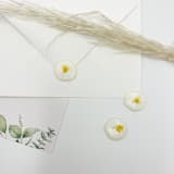 "Pressed Flower Ivory Wax Seal Yellow Flower Set Of 6" - Wax Seals in white by Christine OMalley