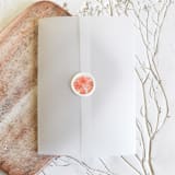 "Orange Citrus Vellum and White Wax Seals | Set of 25" - Wax Seals in orange by Clove and Cedar Design