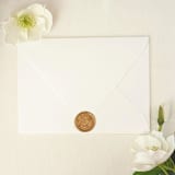 "Blueberries- Customizable Color- Set of 25 Hand-crafted Wax Seals" - Wax Seals in multicolor by Inkspiringletters