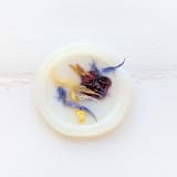 "Spring Wildflowers- Vellum- Customizable set of 25 Wax Seals Hand-crafted Wax Seals wutg Organic Dried Florals" - Wax Seals in clear by Inkspiringletters