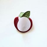 "Pomegranate with Dried Botanicals- Hand-crafted Wax Seals- Set of 25" - Wax Seals in red by Inkspiringletters