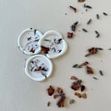 "Dried Wild Flower Wax Seal Stickers Pack of 10" - Wax Seals in white by Eva Tadros