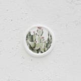 "Cactus Wax Seals | Set of 25" - Wax Seals in green by Clove and Cedar Design