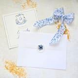 "Queen Anne's Lace- Blue Dried and Pressed Florals on Vellum- Customizable Shape- Set of 25 Wax Seals" - Wax Seals in multicolor by Inkspiringletters