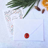 "Meowy & Bright- Customizable Color- Set of 25 Hand-crafted Wax Seals" - Wax Seals in multicolor by Inkspiringletters