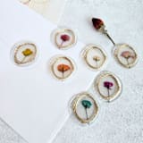 "Fine Art Gilded Framed Dried Organic Mini Roses-  Set of 7 Wax Seals" - Wax Seals in multicolorassorted-colors by Inkspiringletters