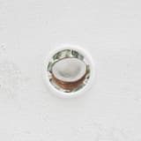 "Tropical Coconut Wax Seals | Set of 25" - Wax Seals in multicolor by Clove and Cedar Design