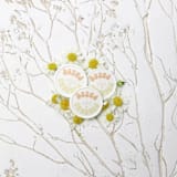 "Dazed and Engaged Wax Seals | Set of 25" - Wax Seals in multicolor by Clove and Cedar Design