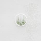 "Green Fir Tree Vellum Wax Seals | Set of 25" - Wax Seals in green by Clove and Cedar Design