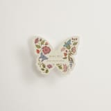 "Radiant Botany" - Mini Novelty Enclosure Cards in Mint by Simona Camp - Front