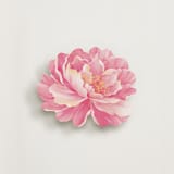 "Watercolor Peony" - Novelty Enclosure Cards in Peony by Celine Nguyen - Front