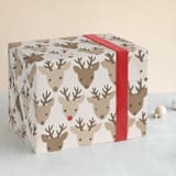 "Red nose" - Wrapping Paper in Almond by Jessie Steury - Front