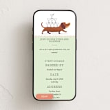"Tinis and Weenies" - Online Dinner and Cocktail Party Invitations in Mint by Ashley Bird - Mobile layout