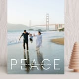 "Quietude" - Holiday Cards in Glacier by Rebecca Daublin - Front