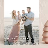 "The Merriest of Days" - Holiday Cards in Snowflake by Wildfield Paper Co - Front