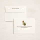 "Howdy Holidays y'all" - Holiday Cards in Candy Cane by Sarah Knight - FREE Recipient Addressing