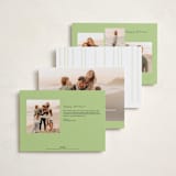 "Framed in Stripes" - Holiday Cards in Holly by Poised Avenue - Back of Card Options